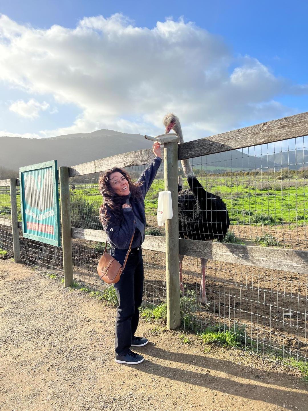 Alejandra feeding an ostrich